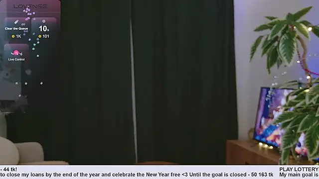 Pink SeaGul online show from December 2024 03:42:01 PM