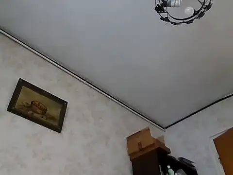 mariusica1xh online show from November 2025 11:45:01 AM