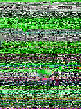 Snapshot of YawlingJingoist chatting on March 2026 11:20:02 PM YawlingJingoist online show from March 2026 11:20:02 PM