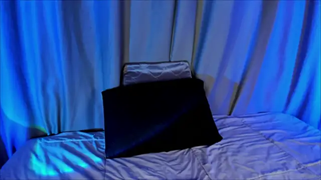 EviePhoenix online show from December 2025 10:16:01 PM