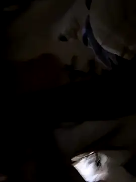 Sweet-Angel999 online show from November 2025 05:28:02 PM