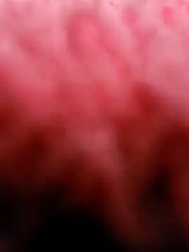 Snapshot of eric69_69 chatting on March 2025 03:29:01 PM eric69 69 online show from March 2025 03:29:01 PM