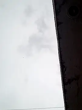 Professor Leo  online show from February 2025 11:05:01 PM