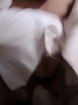 Professor Leo  online show from February 2026 02:54:02 AM