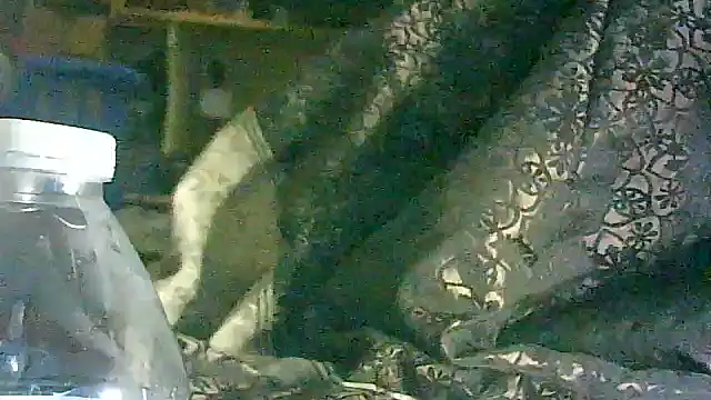 Snapshot of DI4MOND_FIR3 chatting on March 2026 05:55:02 AM DI4MOND FIR3 online show from March 2026 05:55:02 AM