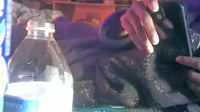 Snapshot of DI4MOND_FIR3 chatting on March 2026 12:38:02 PM DI4MOND FIR3 online show from March 2026 12:38:02 PM