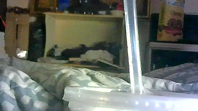 Snapshot of DI4MOND_FIR3 chatting on April 2026 02:53:02 PM DI4MOND FIR3 online show from April 2026 02:53:02 PM