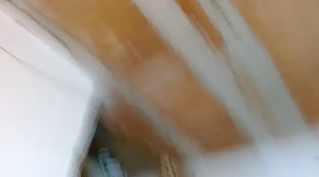 Snapshot of alexxa_Rooa chatting on February 2025 02:19:01 AM alexxa Rooa online show from February 2025 02:19:01 AM