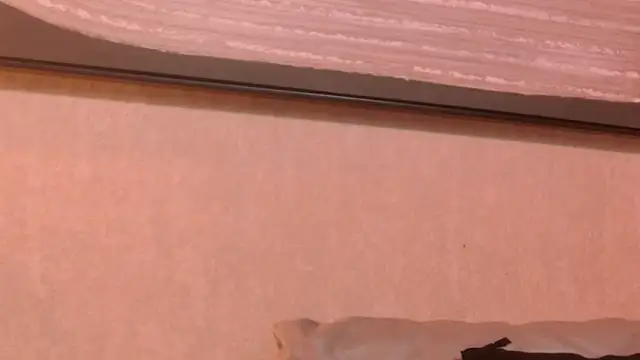 ammy durand online show from December 2025 08:15:02 PM