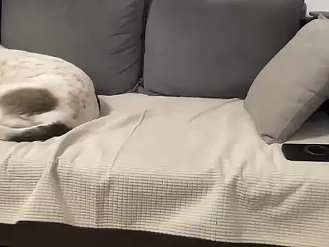 4small4inchlol online show from March 2026 12:10:02 PM