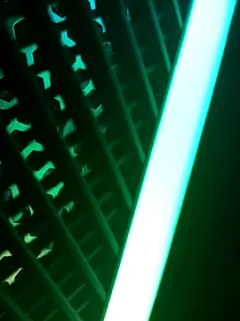 Snapshot of PerfectAhinsa chatting on September 2025 05:58:01 PM PerfectAhinsa online show from September 2025 05:58:01 PM