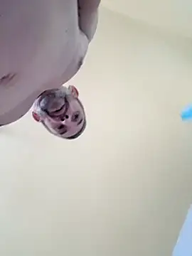 Snapshot of chris_sbh chatting on February 2025 02:45:01 PM chris sbh online show from February 2025 02:45:01 PM