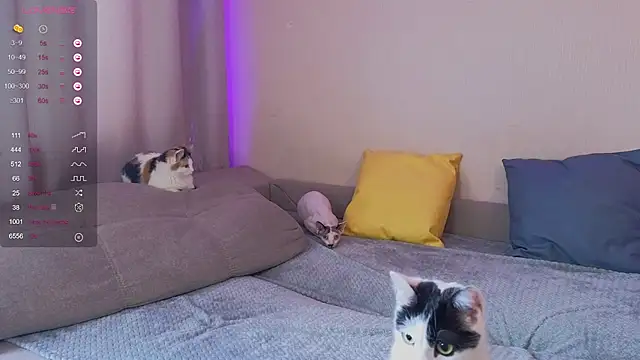 Snapshot of EkaterinaUpple chatting on January 2025 05:52:02 AM EkaterinaUpple online show from January 2025 05:52:02 AM