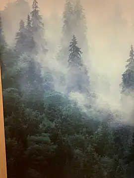 ladoucedu34 online show from January 2026 03:39:01 PM