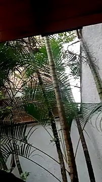 helen kinett online show from December 2024 10:16:02 PM