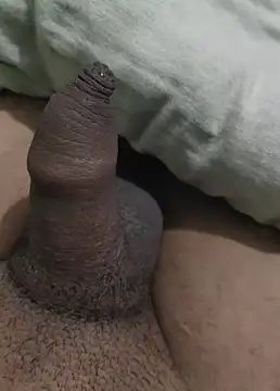 iaparna online show from December 2024 06:38:02 PM