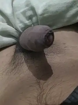 iaparna online show from January 2025 05:54:01 PM