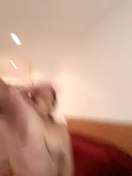 Snapshot of THIAGOEVA chatting on December 2024 12:05:02 PM THIAGOEVA online show from December 2024 12:05:02 PM