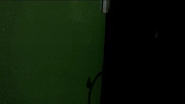 Snapshot of Deleon1995 chatting on January 2025 04:52:02 AM Deleon1995 online show from January 2025 04:52:02 AM