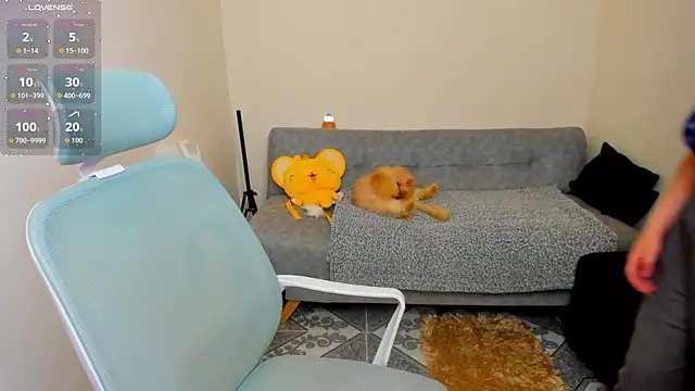 Snapshot of Sofiskies chatting on June 2026 01:01:02 AM Sofiskies online show from June 2026 01:01:02 AM
