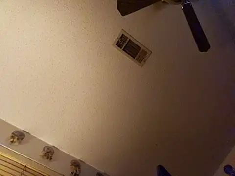 Snapshot of coolbrease10 chatting on March 2026 11:36:01 AM coolbrease10 online show from March 2026 11:36:01 AM