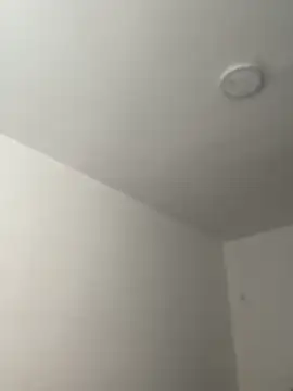 Arilw online show from November 2025 02:05:01 PM