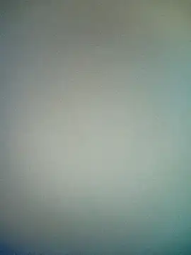 bustybillies online show from January 2026 05:16:01 PM