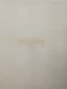 Snapshot of Rina777o chatting on December 2024 08:36:01 PM Rina777o online show from December 2024 08:36:01 PM