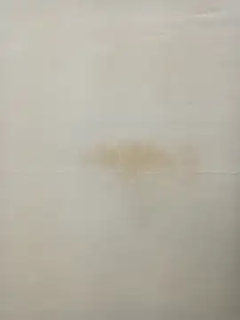 Snapshot of Rina777o chatting on January 2025 06:31:01 PM Rina777o online show from January 2025 06:31:01 PM