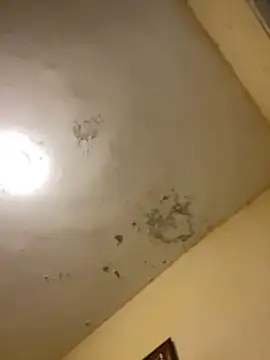 tobiramalapara online show from December 2025 02:22:01 PM