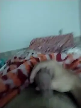 Snapshot of lm279 chatting on February 2025 05:33:01 PM lm279 online show from February 2025 05:33:01 PM