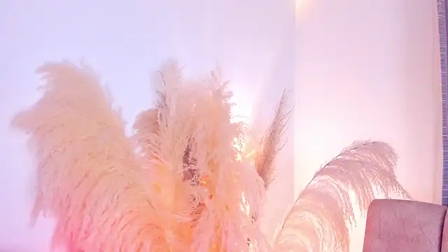 amelie murphy  online show from December 2024 02:52:01 AM