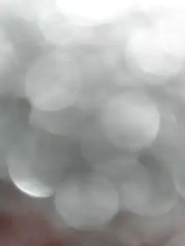 Snapshot of QcMisterv13 chatting on April 2026 08:03:02 PM QcMisterv13 online show from April 2026 08:03:02 PM