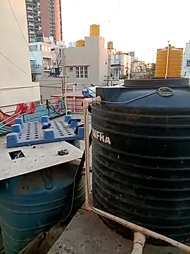 your chiru online show from November 2025 12:56:01 AM