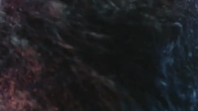 Snapshot of Sofiacowperx chatting on March 2026 12:38:02 PM Sofiacowperx online show from March 2026 12:38:02 PM