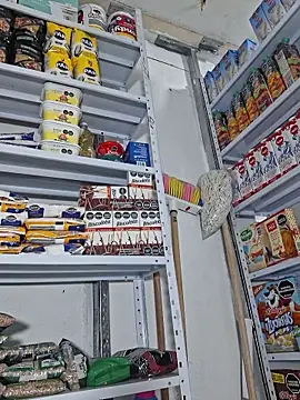 Snapshot of Katia_sweetx chatting on April 2026 01:38:02 PM Katia sweetx online show from April 2026 01:38:02 PM