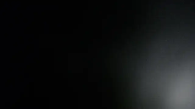 ViolethRammtein online show from January 2025 12:01:01 AM