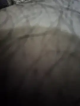 Piter1022 online show from November 2025 12:18:02 PM