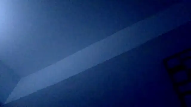 DreamTeamX online show from November 2025 01:14:02 PM