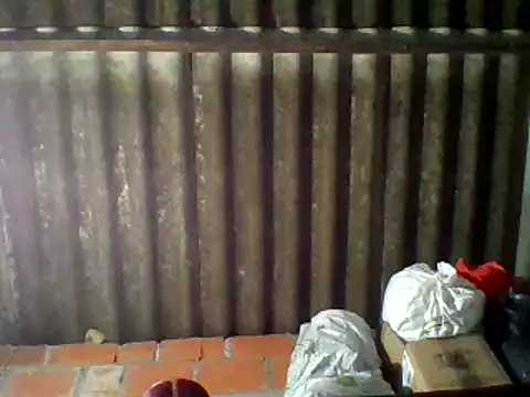 dafne19  online show from February 2025 09:37:01 AM