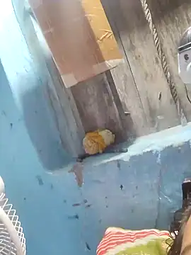 Snapshot of Natasha-In69 chatting on January 2025 10:10:01 PM Natasha-In69 online show from January 2025 10:10:01 PM