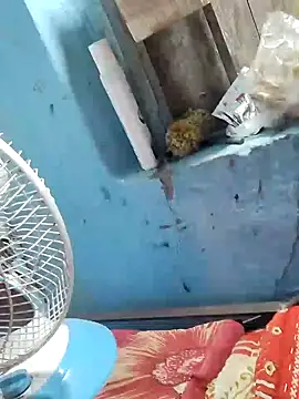 Snapshot of Natasha-In69 chatting on February 2025 10:43:01 PM Natasha-In69 online show from February 2025 10:43:01 PM