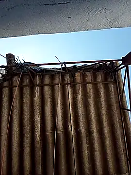 Percybr4561 online show from October 2025 01:29:01 PM