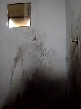 Percybr4561 online show from November 2025 01:13:02 PM