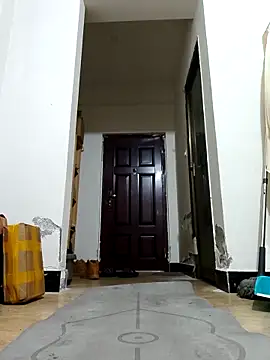 DDYY12341 online show from December 2025 12:55:01 PM