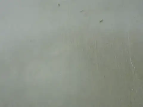 dickrus0077 online show from February 2025 05:25:02 PM