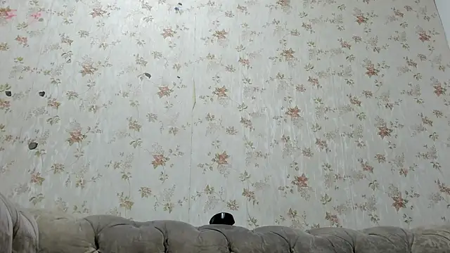 fer dz online show from January 2025 11:56:02 AM