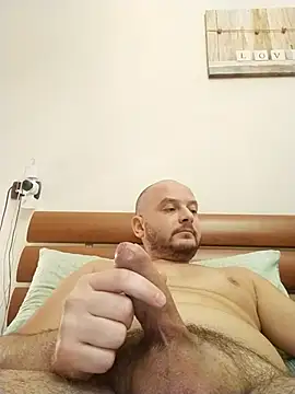 Snapshot of user_662 chatting on November 2025 02:09:02 PM user 662 online show from November 2025 02:09:02 PM