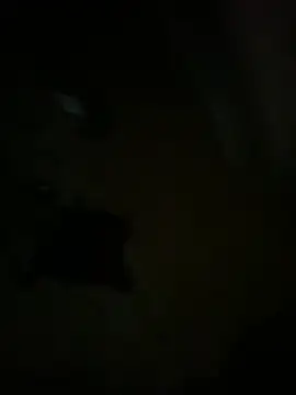 hardbigcock16 online show from April 2026 06:17:01 PM