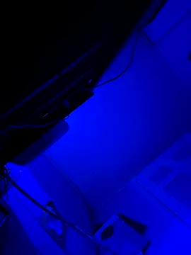 Snapshot of hotNReady6969 chatting on October 2025 10:14:01 AM hotNReady6969 online show from October 2025 10:14:01 AM